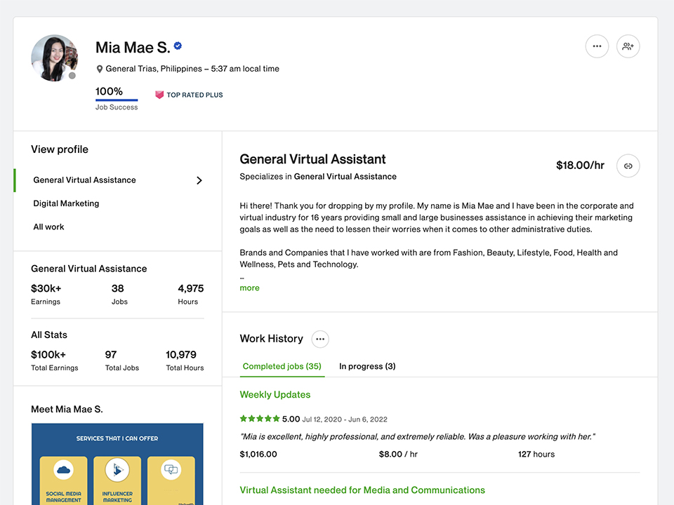 Freelancer Profile on Upwork